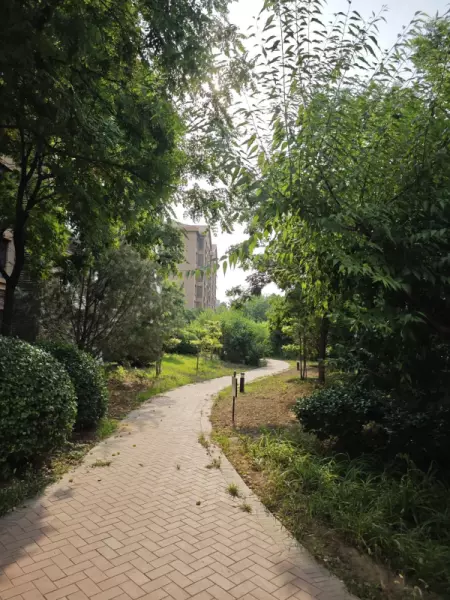 浅山香邑为什么便宜(31)