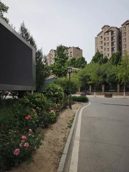 浅山香邑为什么便宜(32)
