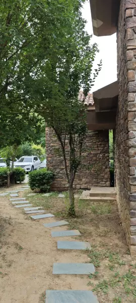 浅山香邑为什么便宜(33)