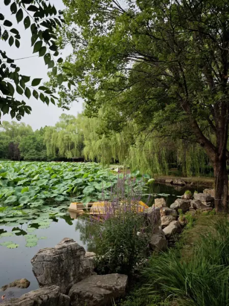 浅山香邑为什么便宜(6)