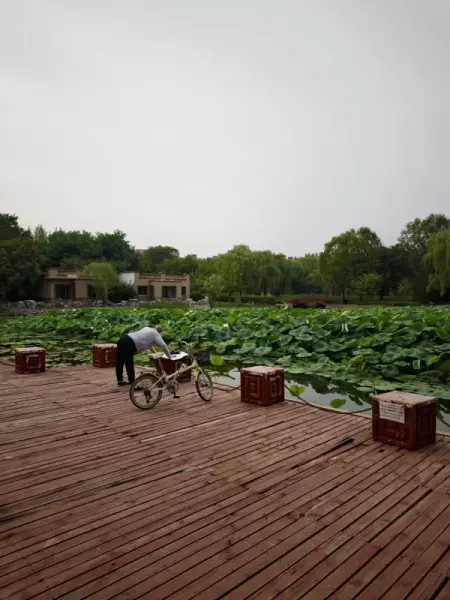 浅山香邑为什么便宜(7)