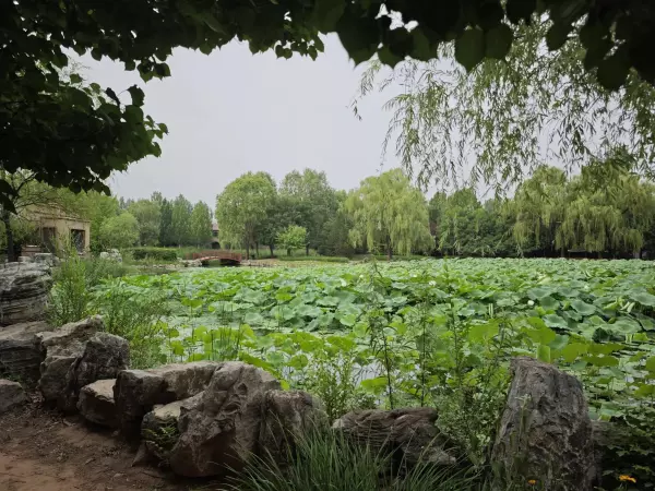 浅山香邑为什么便宜(9)