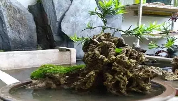 上水石放在客厅什么位置最好风水(1)