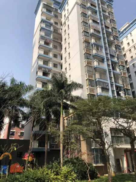 厦门单身公寓出租价格(7)