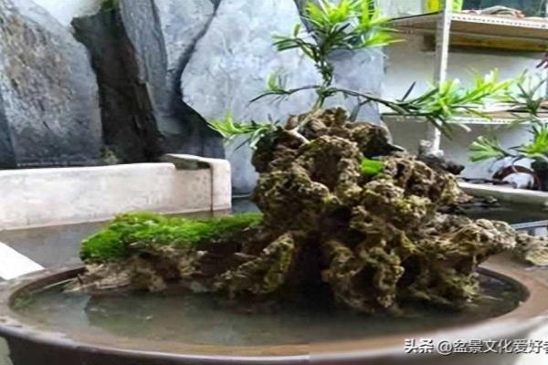 上水石放在客厅什么位置最好风水.