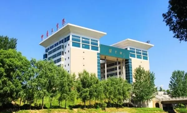 新郑龙湖大学城有哪些大学(5)