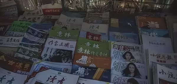 瑞丽家居设计是月刊吗(13)