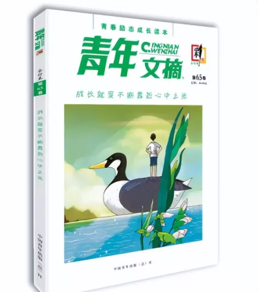 瑞丽家居设计是月刊吗(20)