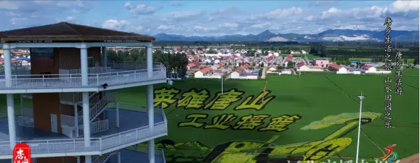 青石板上创高产闻名全国的是河北省什么村(11)