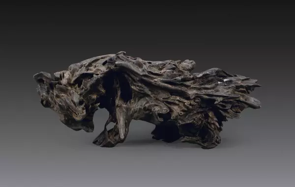 什么叫乌木怎么形成的(9)