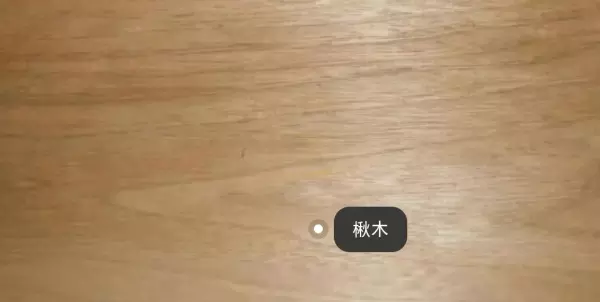红胡桃木和黑胡桃木有什么区别(12)
