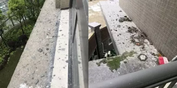 腰线层上一层渗水还是下一层渗水(1)