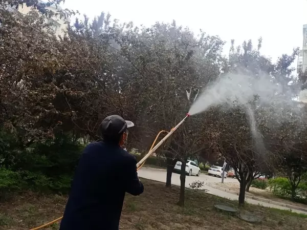 来福灵杀虫剂主要杀什么虫(3)