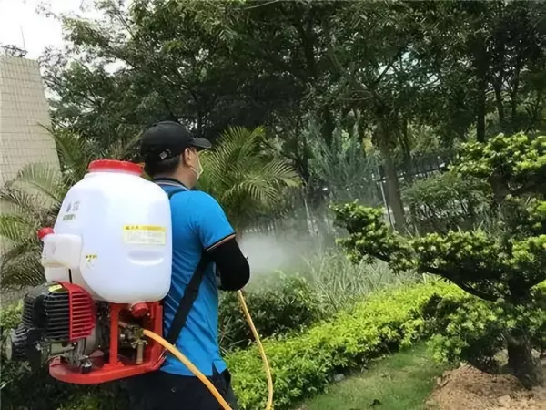 来福灵杀虫剂主要杀什么虫(5)