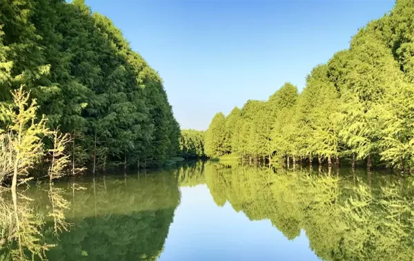 幸福天堂是什么意思(3)