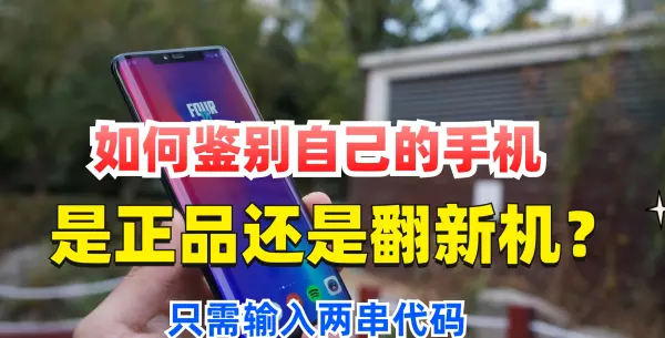 手机imei1和imei2用哪个查真伪(1)