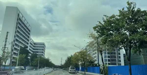 桥头引道什么时候开始修的(13)