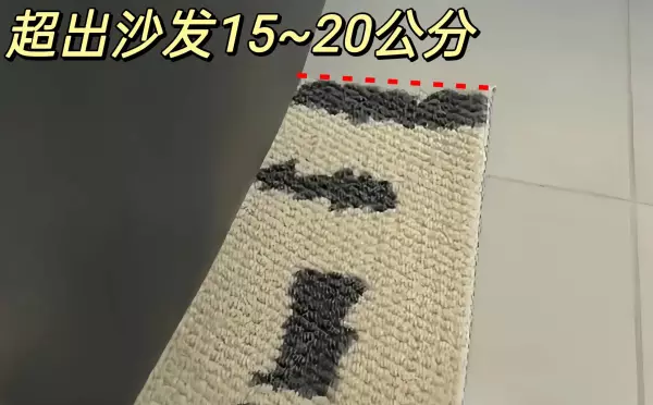 地毯什么材质的比较好一点(15)