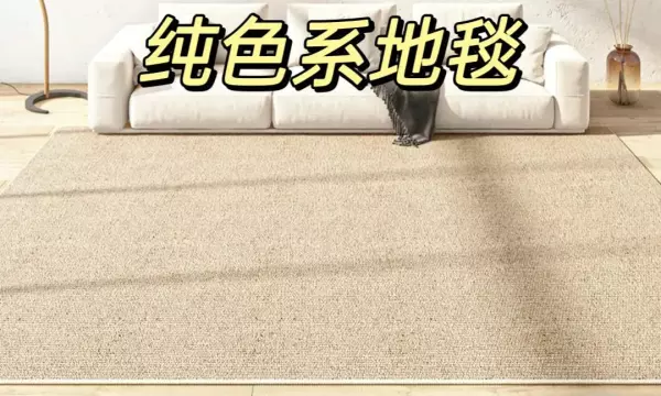 地毯什么材质的比较好一点(21)