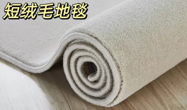 地毯什么材质的比较好一点(5)