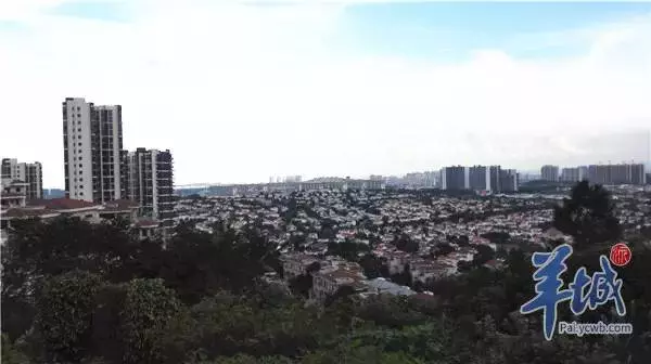 翡翠绿洲二手房价最新价格(1)