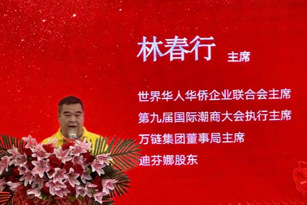 迪芬娜集团会美国纳斯达克上市吗.