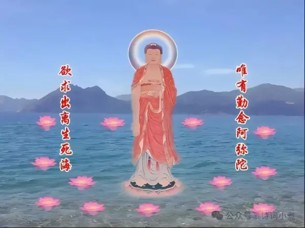 红玛丽贝贝红一南无阿弥陀佛有什么区别(2)