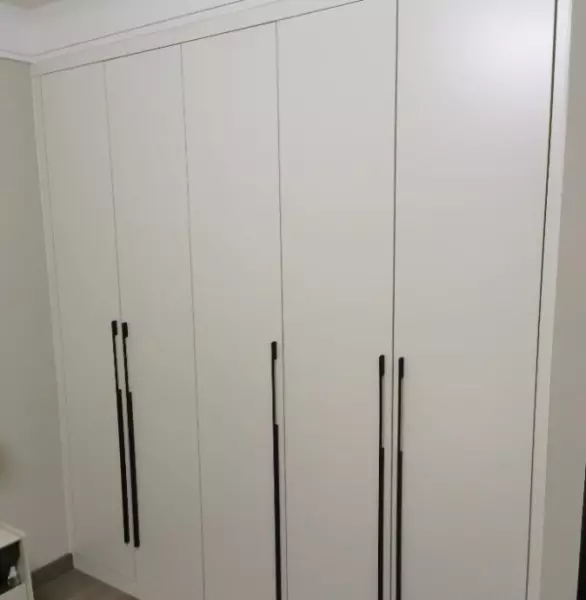 简易双门衣柜价格(10)