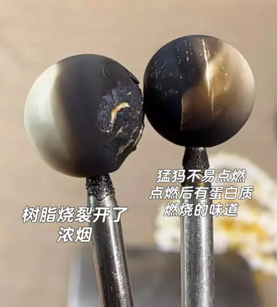 象牙雕刻怎么辨别真假(7)