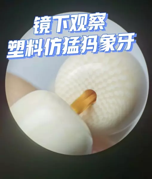 象牙雕刻怎么辨别真假(8)