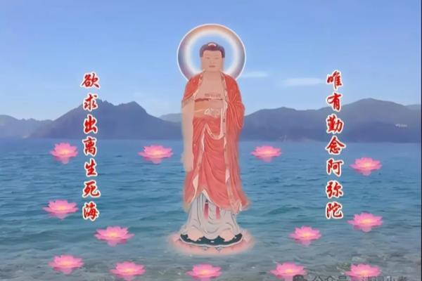 红玛丽贝贝红一南无阿弥陀佛有什么区别.