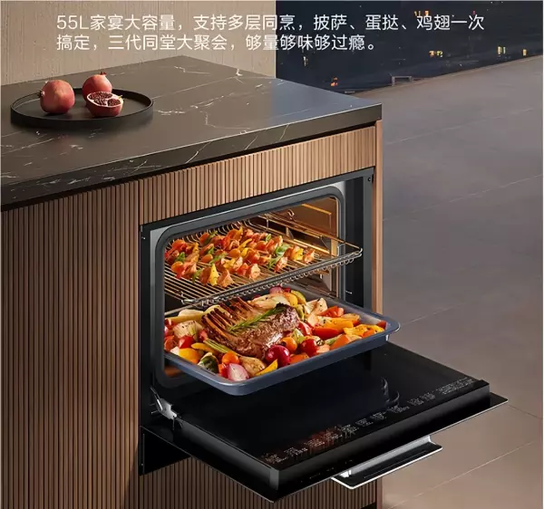 专业烘焙大容量烤箱什么牌子好(6)