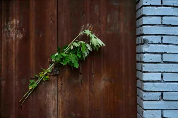 过端午节要准备哪些东西(3)