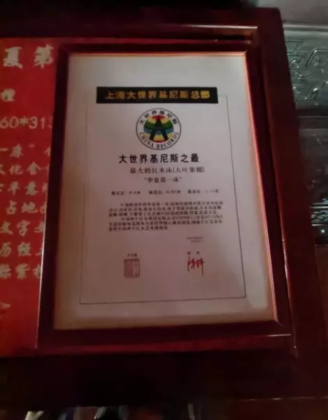 豪华家具价格(2)