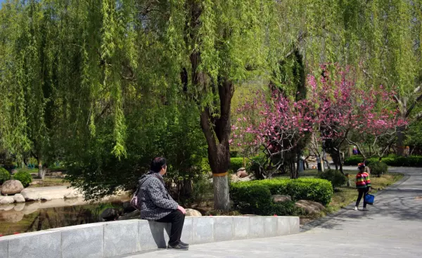 佳能维修站点的地址和联系方式是什么?(17)