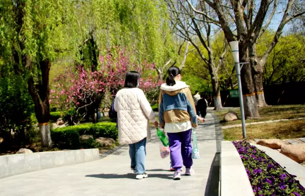 佳能维修站点的地址和联系方式是什么?(19)