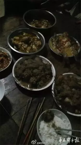 上海篱笆论坛坏了吗(2)