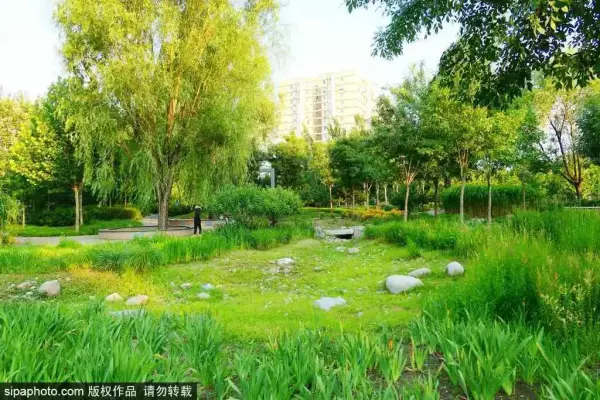 北京2021年桑拿天时间(2)