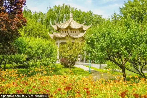 北京2021年桑拿天时间(7)