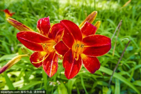 北京2021年桑拿天时间(8)