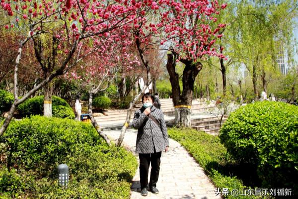 佳能维修站点的地址和联系方式是什么?.