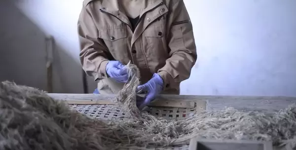 文房四宝的产地和特点分别是什么(26)