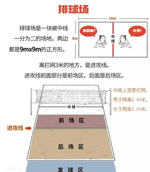排球场标准尺寸是多少米(2)