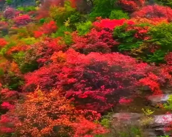 11月14号日子好不好老黄历查询(3)