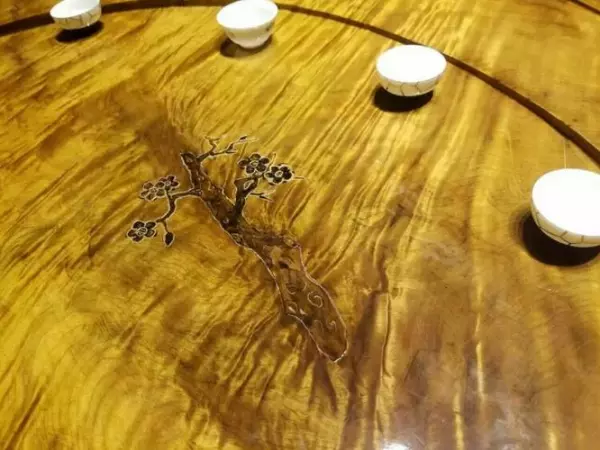 紫楠是常绿还是落叶(9)