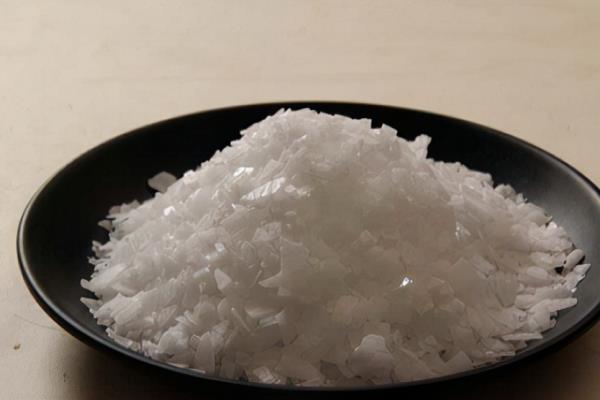 下水道老鼠爬上来要怎么办.