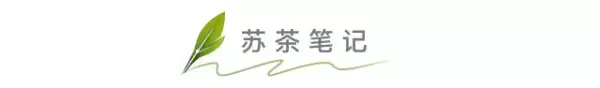 龙顶茶属于什么档次(9)