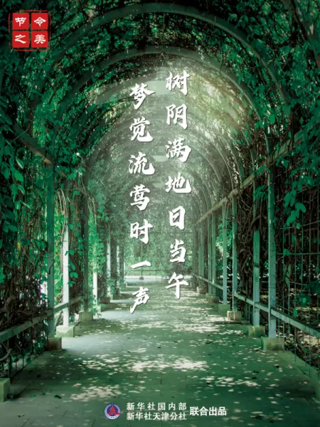 水晶帘动微风起满架蔷薇一院香是什么季节(2)