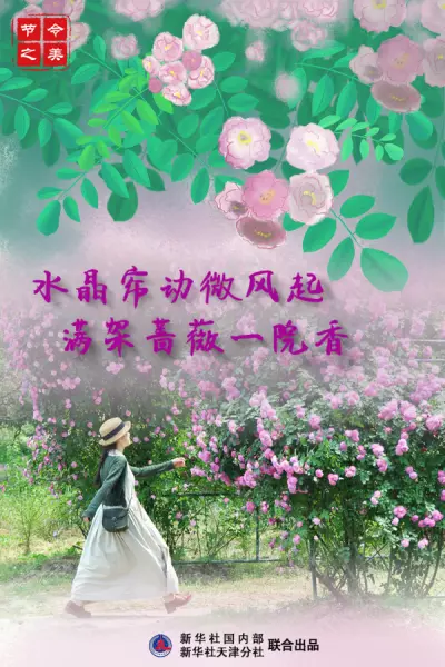 水晶帘动微风起满架蔷薇一院香是什么季节(3)