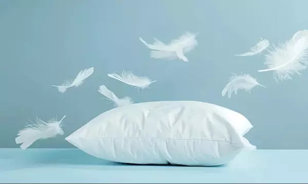 睡觉方向应该是南北还是东西(6)